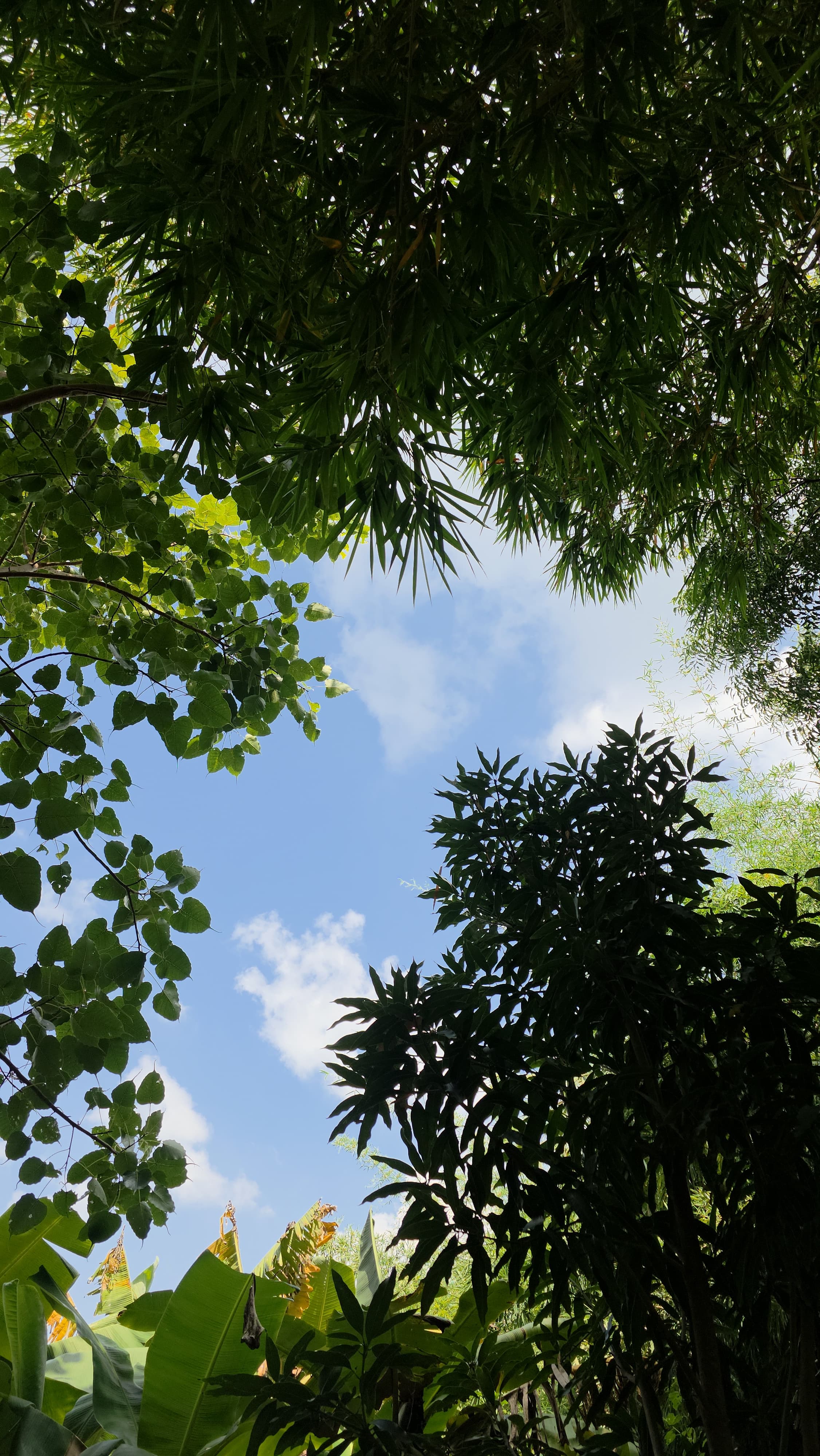 The Positive Side of Covid-19: Reconnecting With Nature and Farming