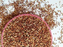Finger Millet (Nachni/Ragi)